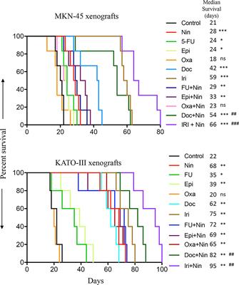Enhancing gastric cancer conventional chemotherapy effects by triple angiokinase inhibitor nintedanib in preclinical models